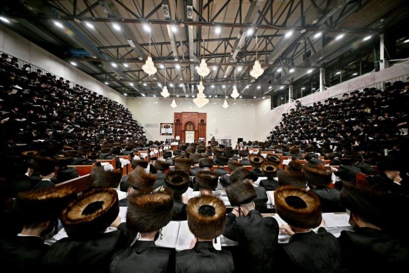 יהושע פרוכטר