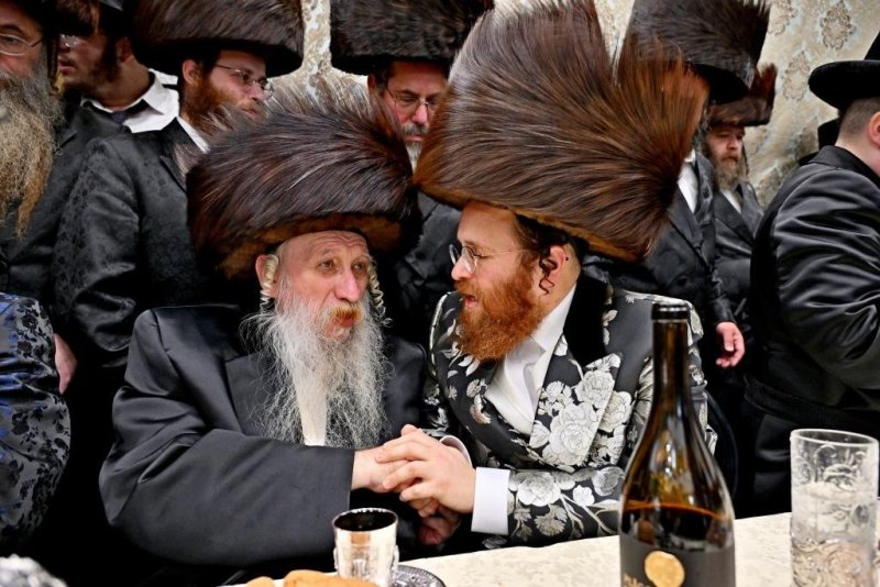 יהושע פרוכטר