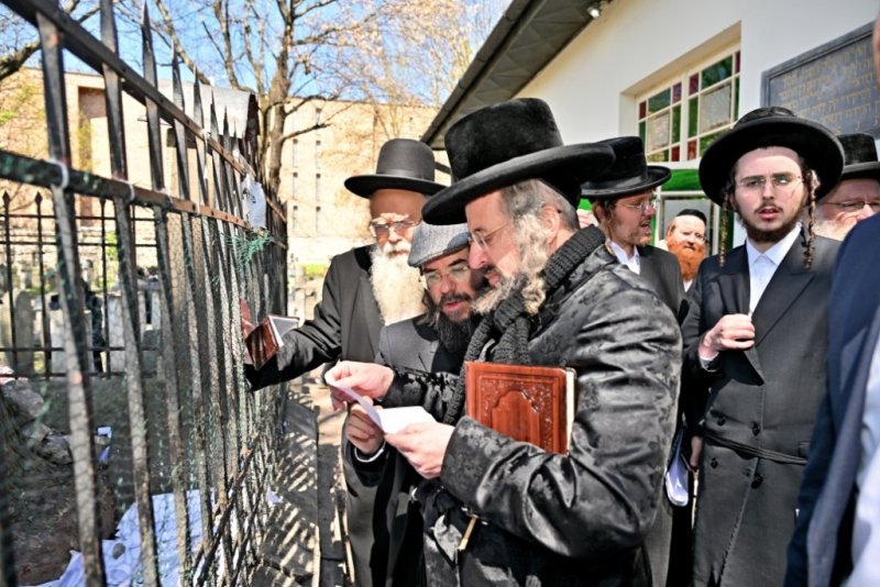 יהושע פרוכטר