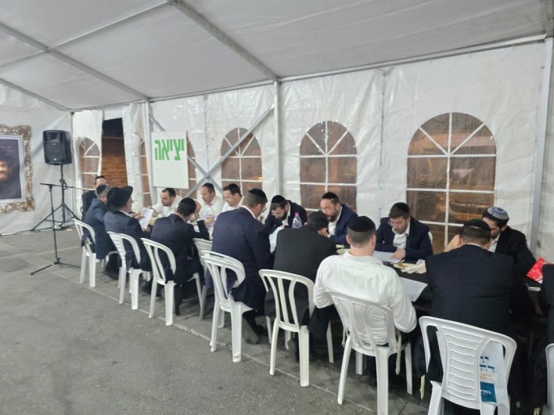 אלחנן קוטלר