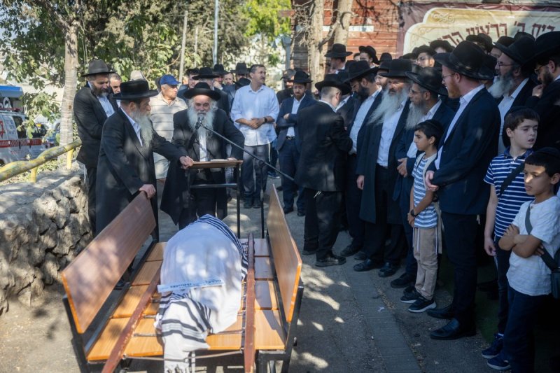 חיים גולדברג - פלאש 90