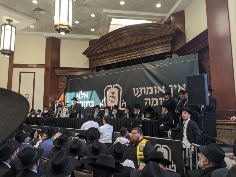 דניאל נפוסי ואלי קובין