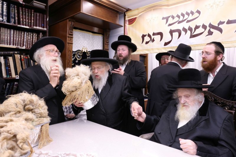 שמואל דריי