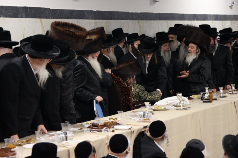 מאיר פרקש