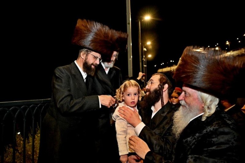 יהושע פרוכטר