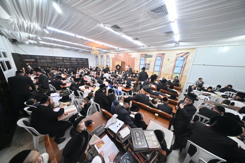 יהושע פרוכטר