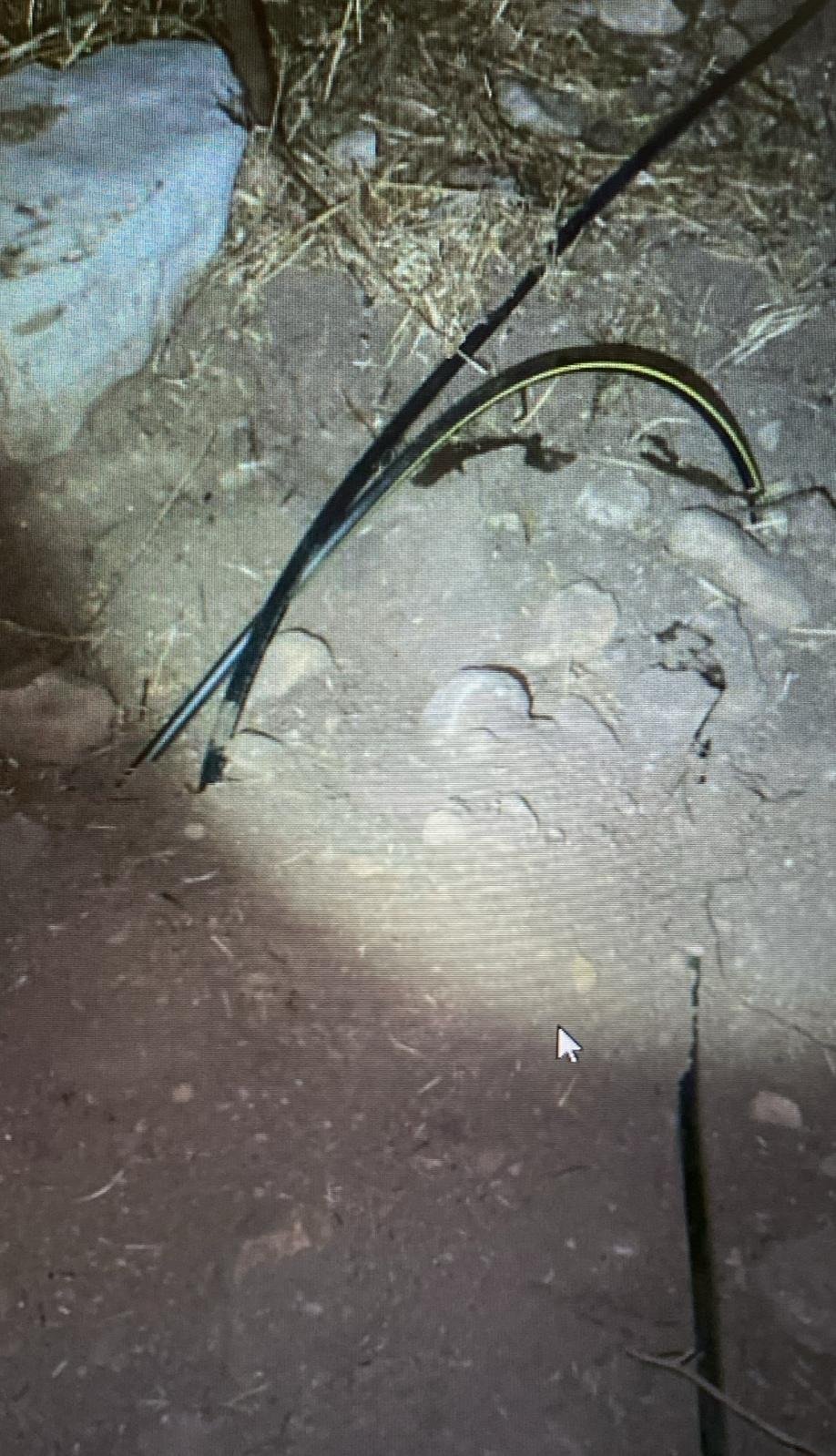 דוברות המשטרה