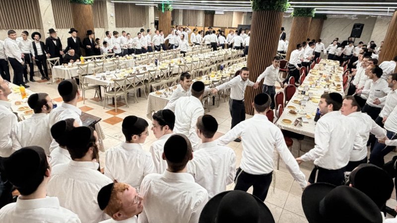 אלעזר פיינשטיין