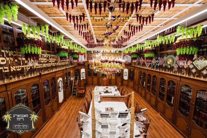 באדיבות המצלם