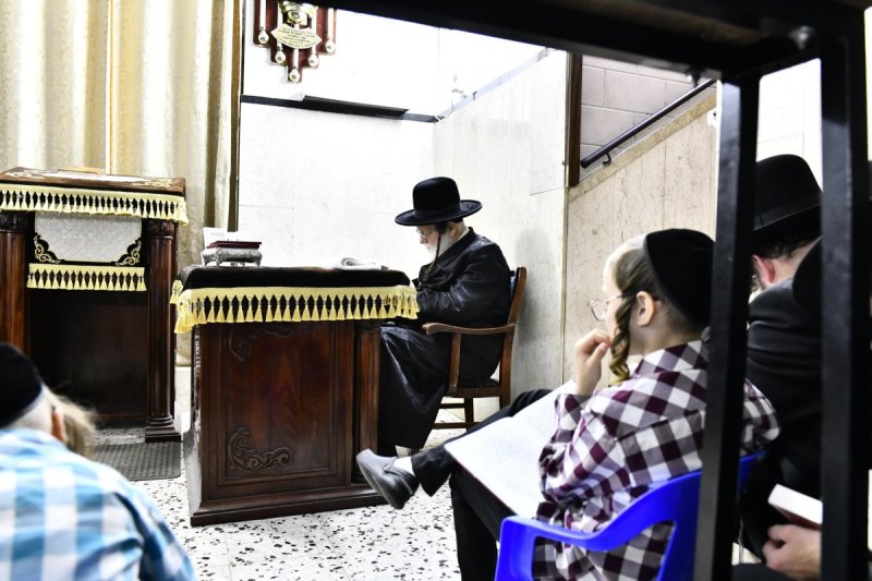 שוקי לרר