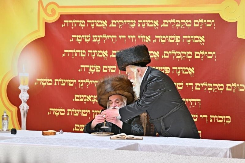 יהושע פרוכטר