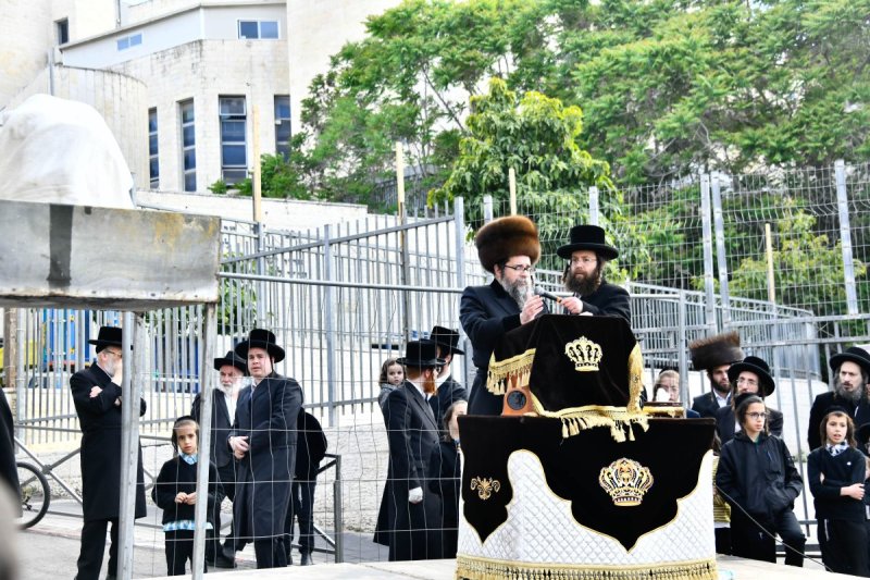 שוקי לרר