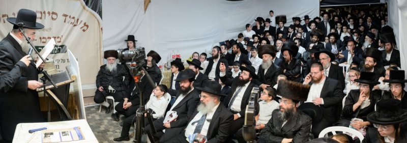 מנדי רוט