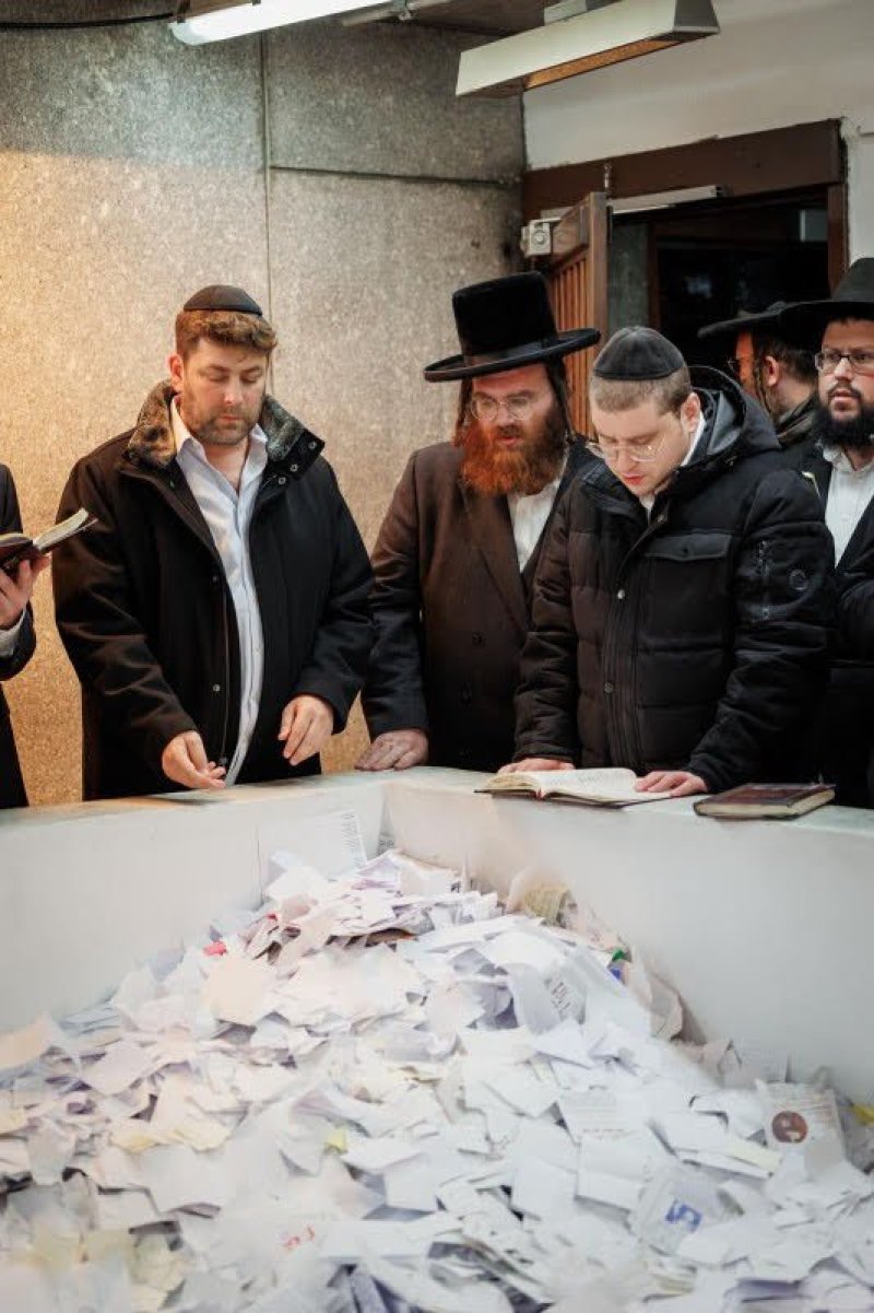 דניאל נפוסי