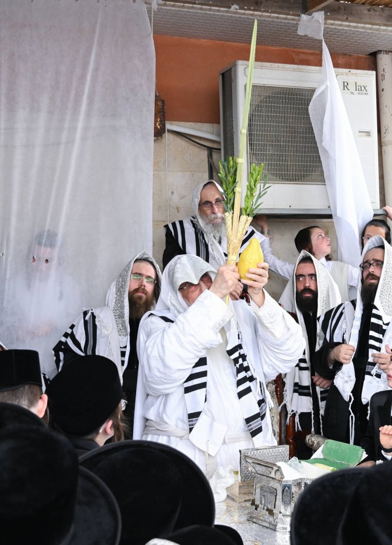 משה גולדשטיין