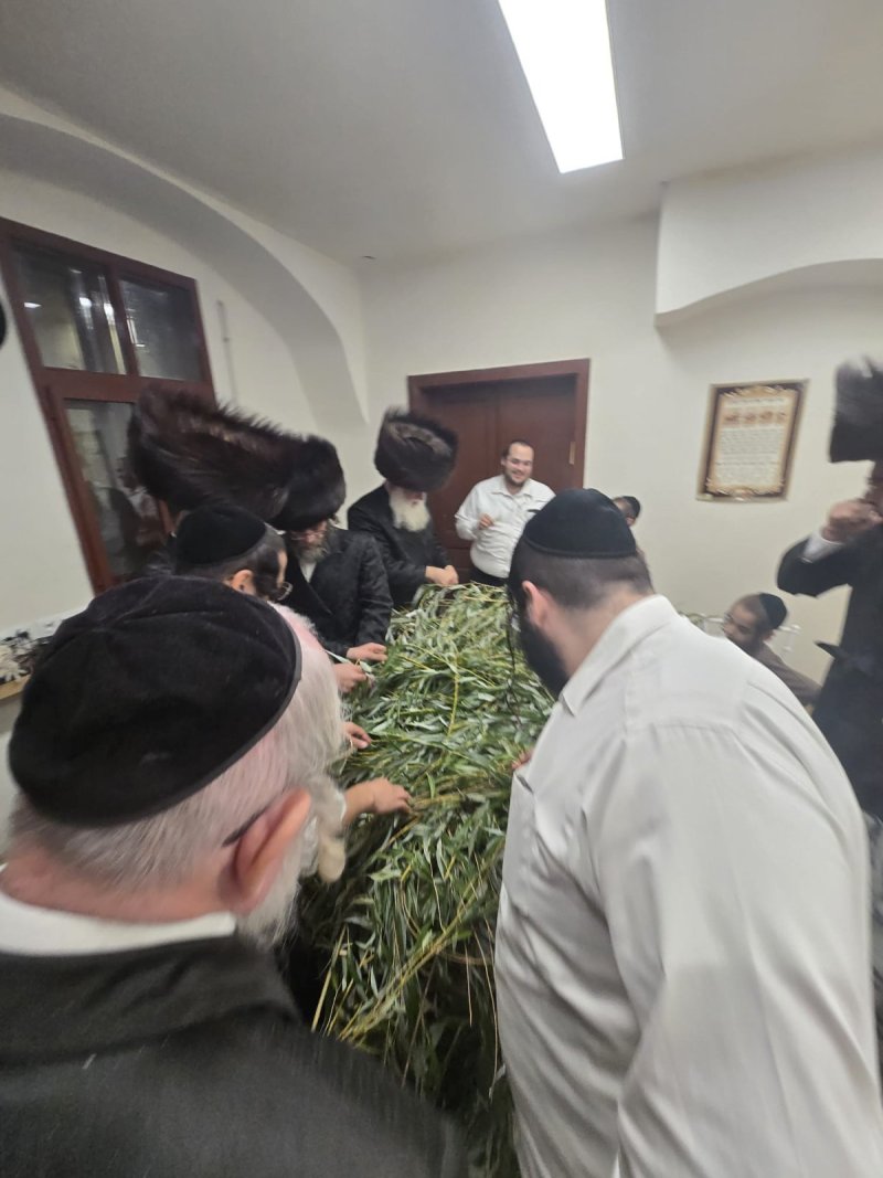 באדיבות המצלם