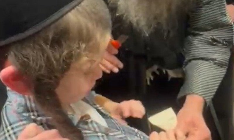 התיעוד שמרעיד כל לב: היתומים הרכים מבצעים 'קריעה' לקול זעקות שבר נוראיות