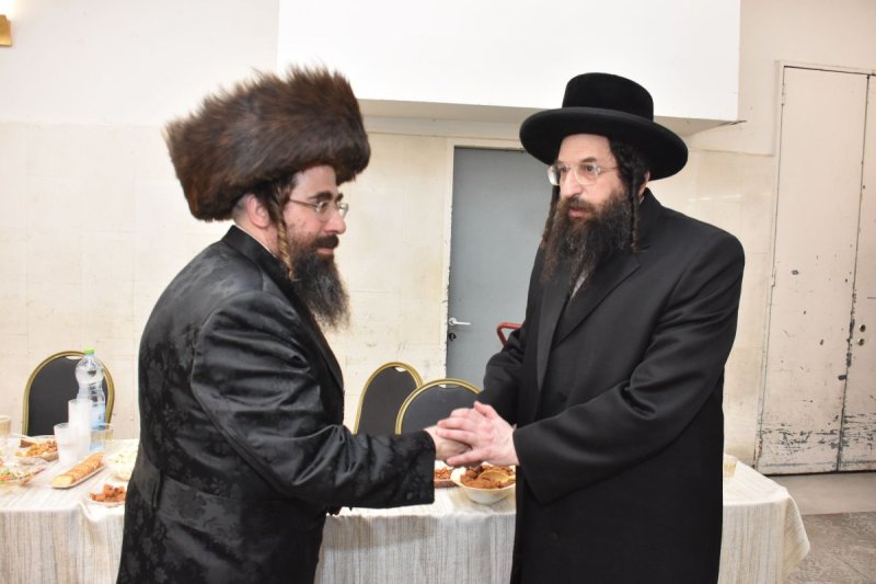 יהודה פרקוביץ