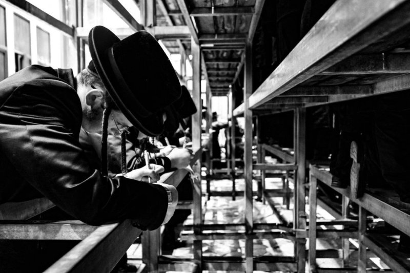 משה גולדשטיין