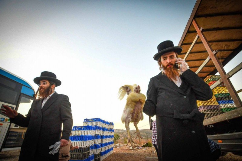 ארי קופרשטוק