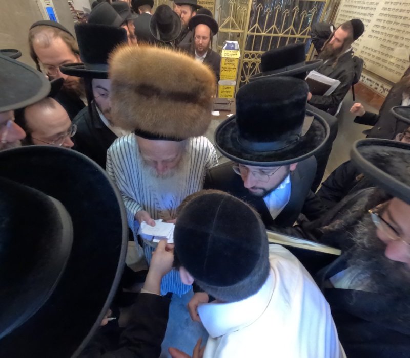 באדיבות המצלם