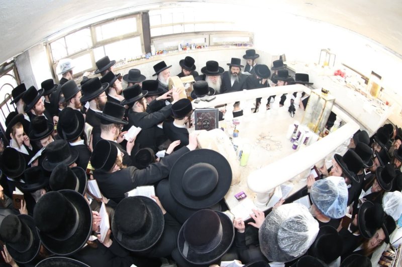 שלומי טריכטר