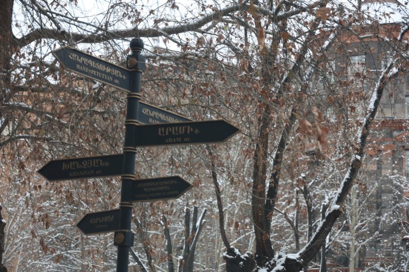 צילום: מרדכי לובעצקי