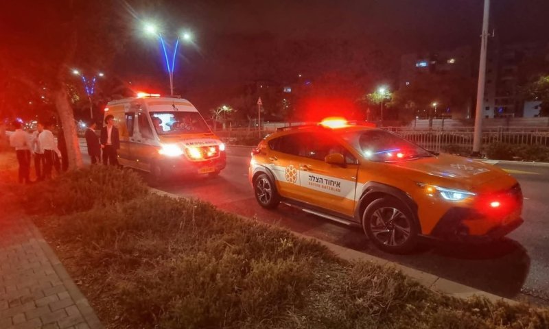 אשדוד: בחור ישיבה בן 17 הוכש מנחש בחצר הישיבה