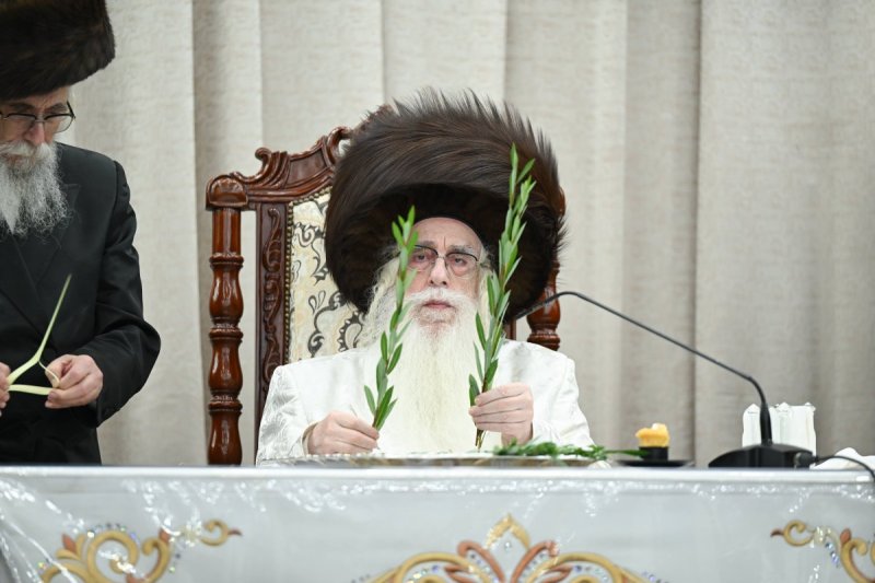 משה גולדשטיין