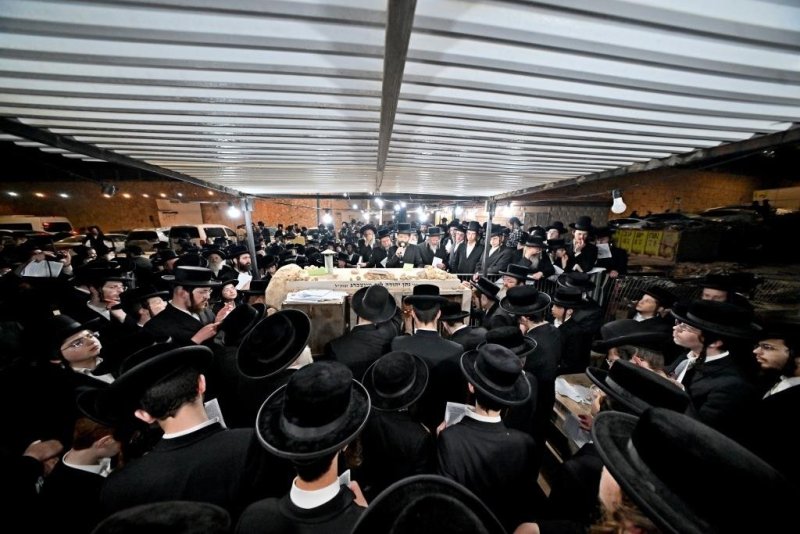 יהושע פרוכטר