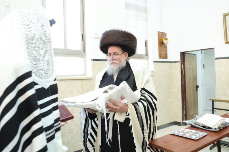 שלומי טריכטר