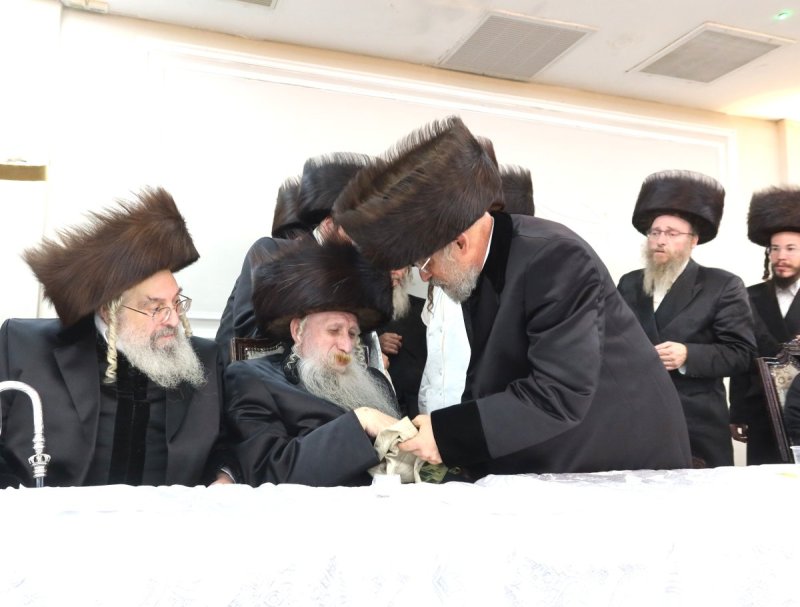 שימי פ.