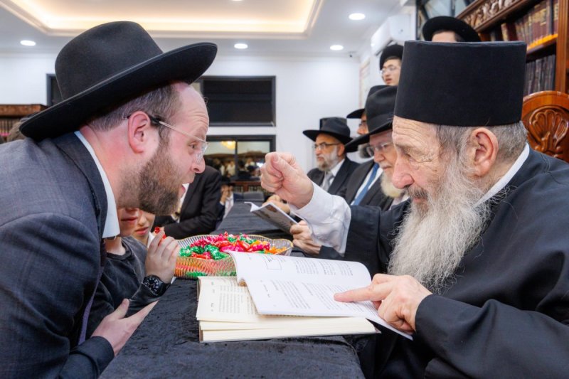 אלעזר פיינשטיין