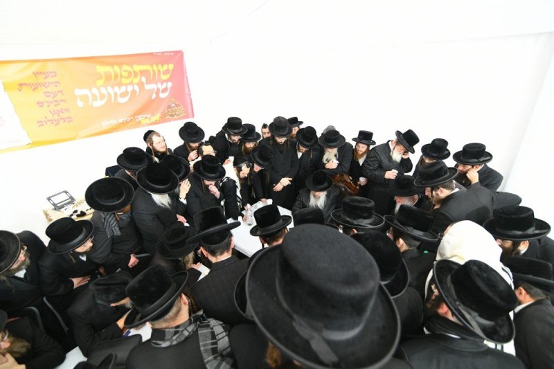 ארי קופרשטוק - פולין