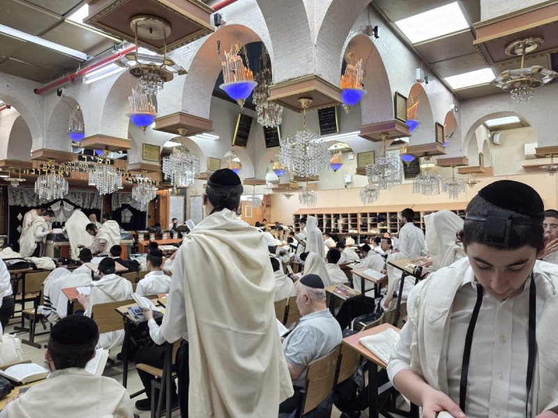 באדיבות המצלם