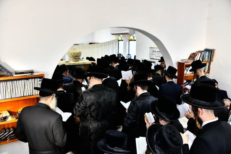 שוקי לרר