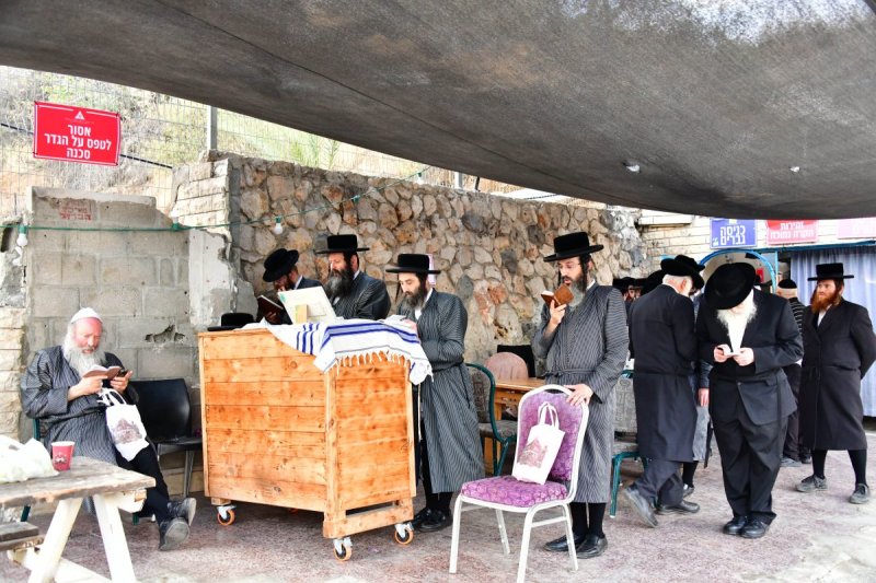 שוקי לרר