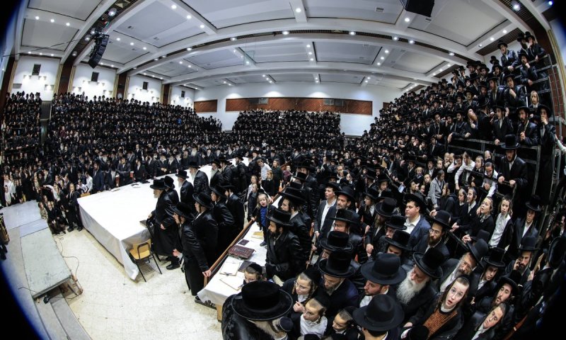 משה גולדשטיין