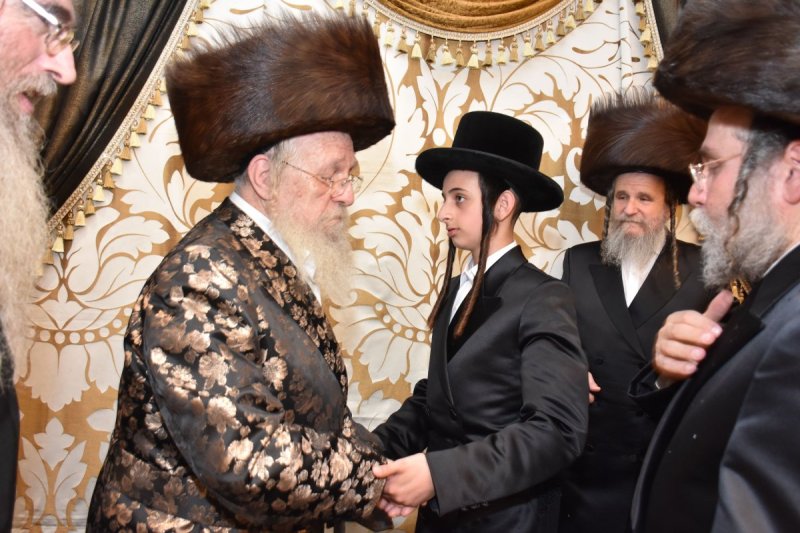 יהודה פרקוביץ