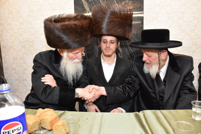 יהודה פרקוביץ