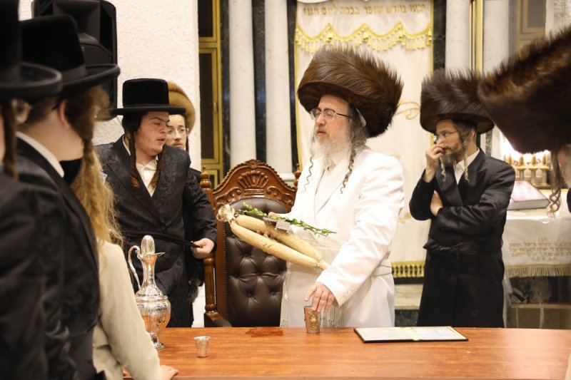 נתי אמרגי