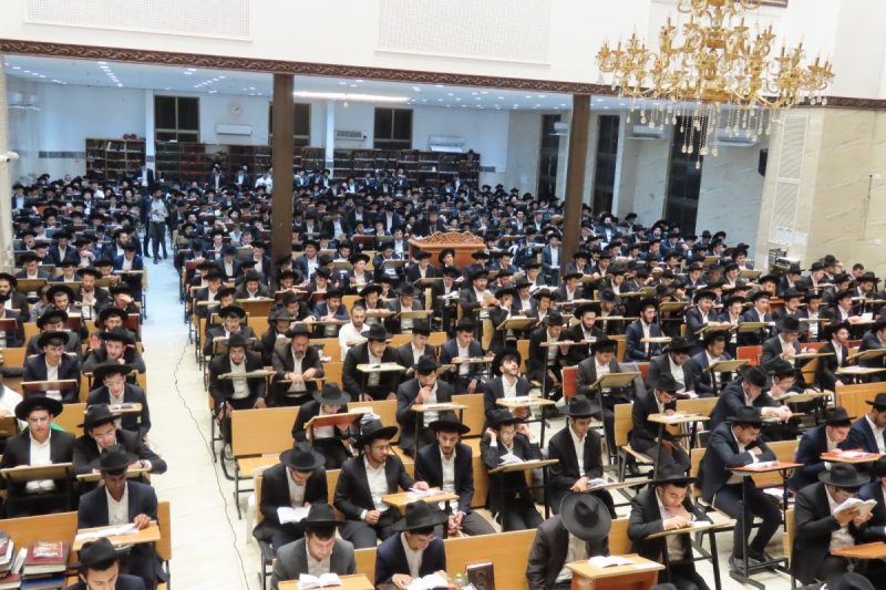 שימי קליין