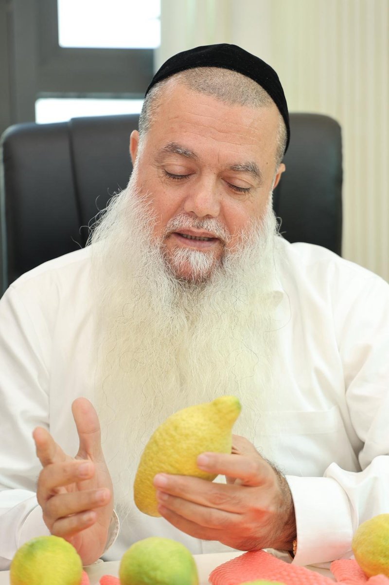 נועם אליהו