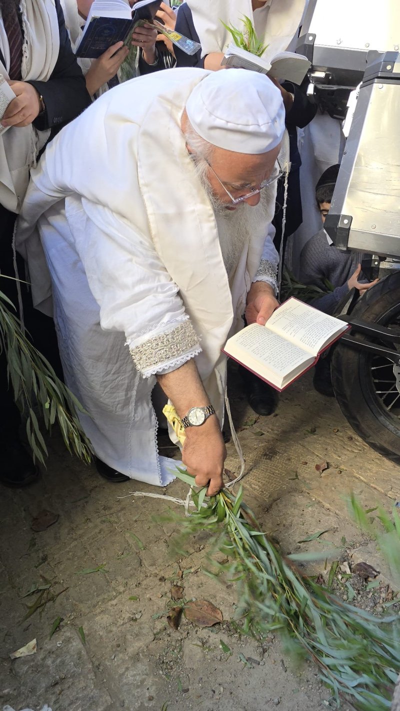 שלומי טריכטר ומ.פ