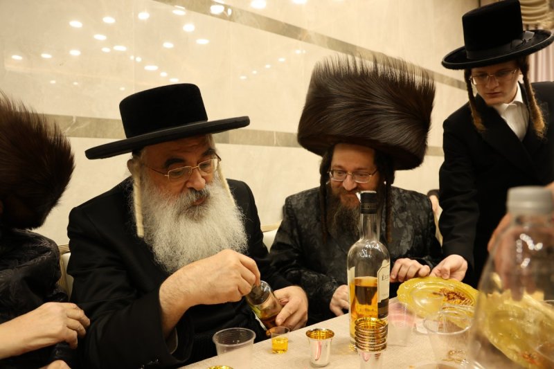 נתי אמרגי