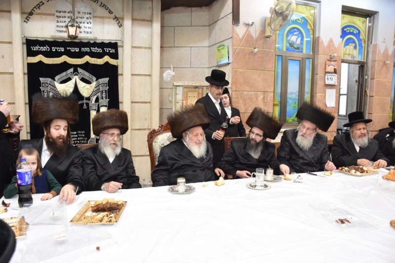 יהודה פרקוביץ