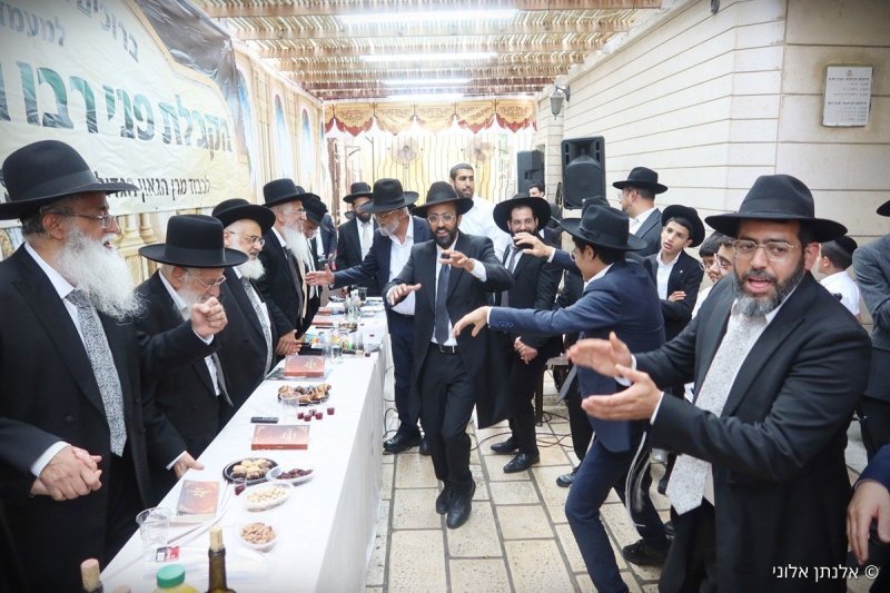 אלנתן אלוני
