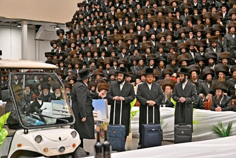 יהושע פרוכטר