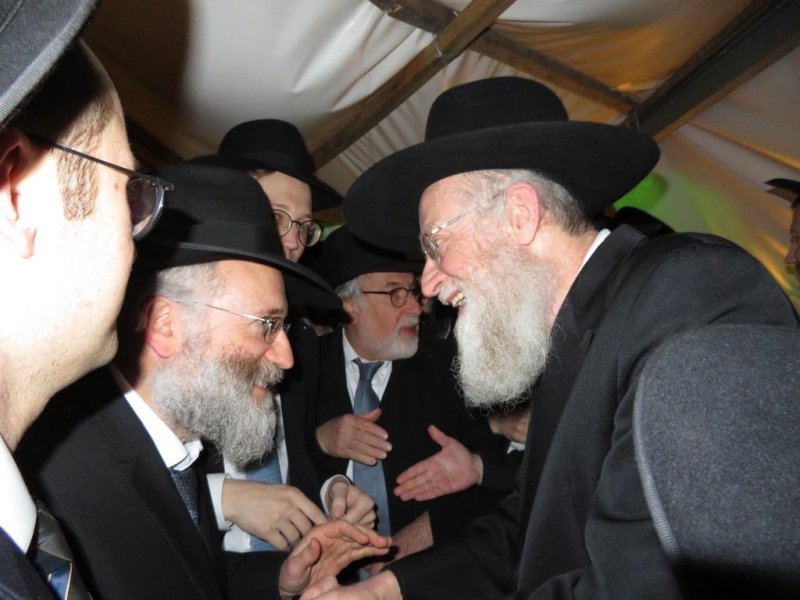 שלומי טריכטר