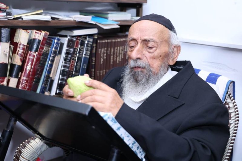 דוד ארזני